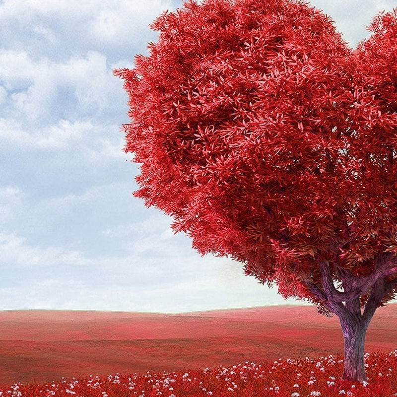 Blog - Featured image - Do branded SMS messages boost credibility - 1