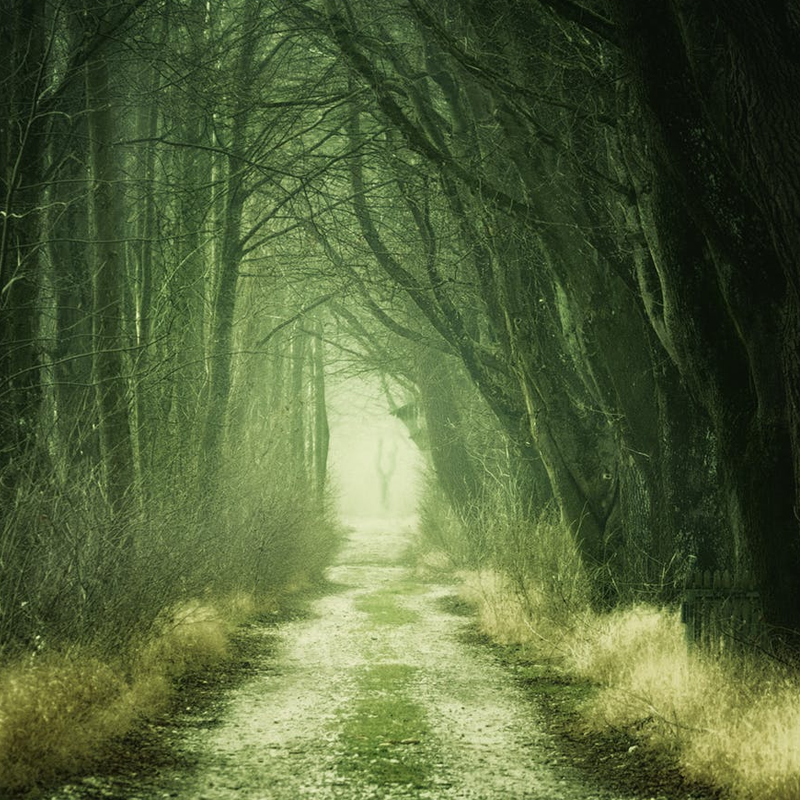 Blog - Featured image - Question of the Century - 1