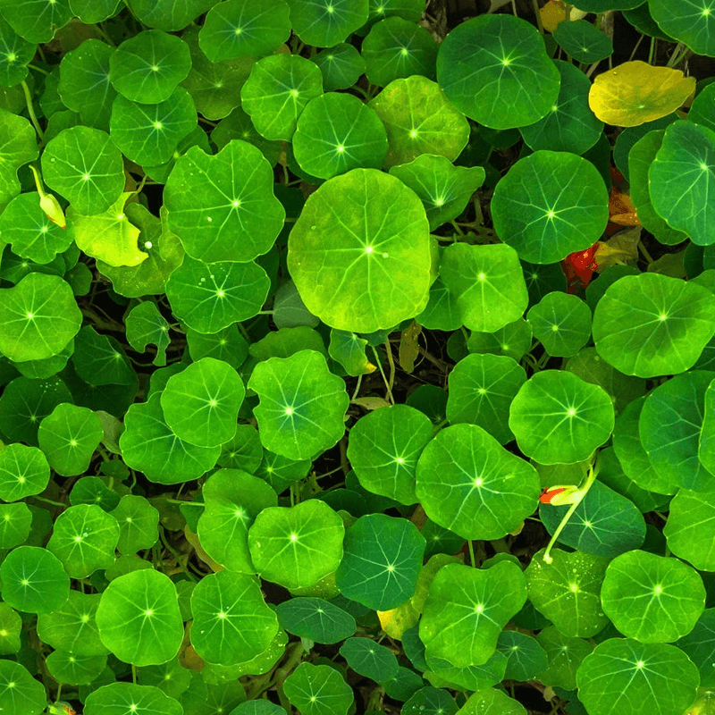 Blog - Featured image - Repetition makes reputation and reputation makes customers - 1