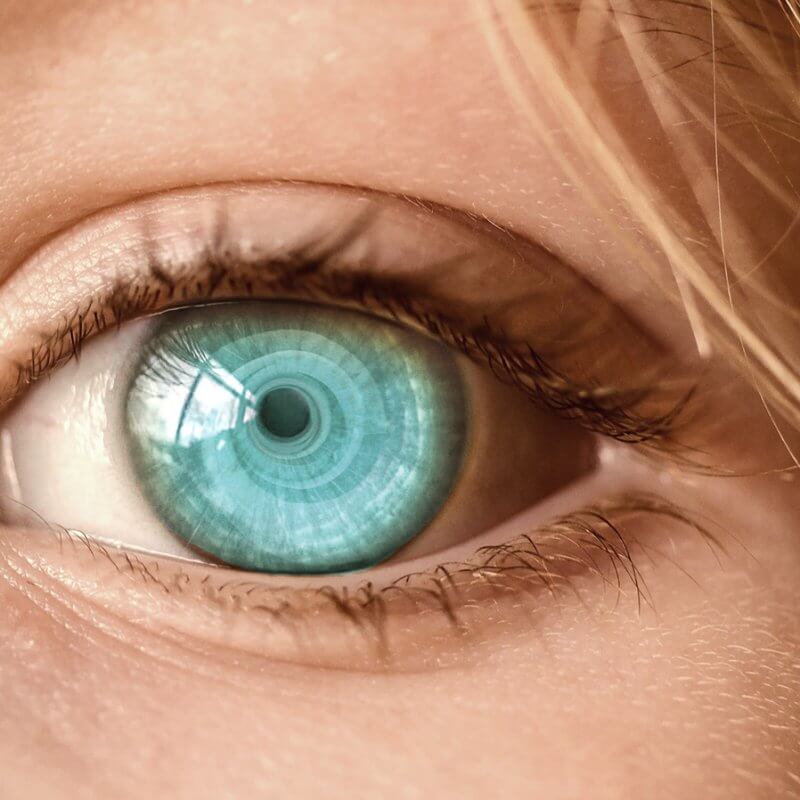 Blog - Why WhatsApp Marketing is a Bad Idea. - 2